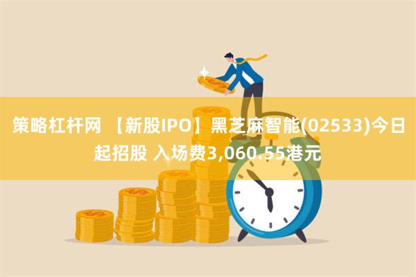 策略杠杆网 【新股IPO】黑芝麻智能(02533)今日起招股 入场费3,060.55港元