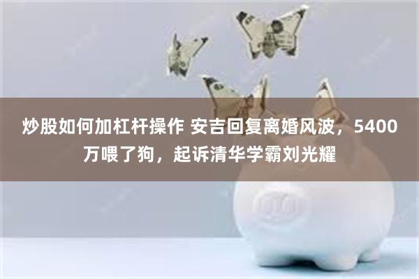 炒股如何加杠杆操作 安吉回复离婚风波，5400万喂了狗，起诉清华学霸刘光耀