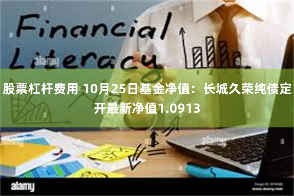 股票杠杆费用 10月25日基金净值：长城久荣纯债定开最新净值1.0913