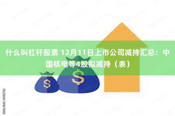 什么叫杠杆股票 12月11日上市公司减持汇总：中国核电等4股拟减持（表）