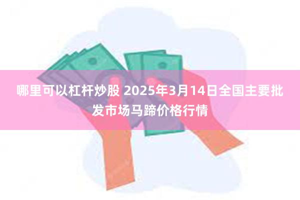 哪里可以杠杆炒股 2025年3月14日全国主要批发市场马蹄价格行情