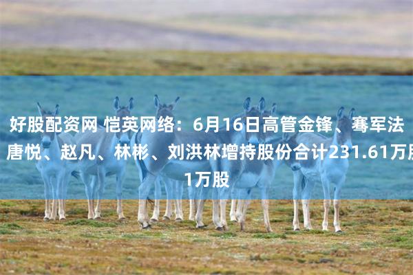 好股配资网 恺英网络：6月16日高管金锋、骞军法、唐悦、赵凡、林彬、刘洪林增持股份合计231.61万股